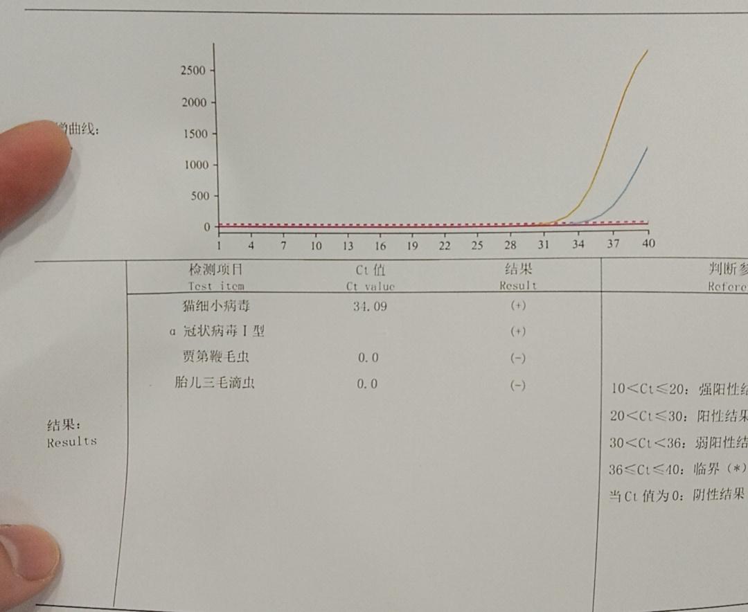 有人懂为什么嘛，我的猫自从上次吃过异物后出院后，就间隔性便血，半个多月一次，每次