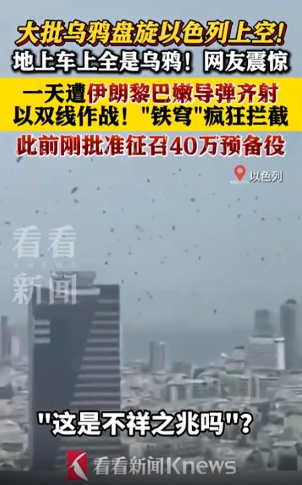 密密麻麻！在以色列特拉维夫上空和街头出现了大量乌鸦，遮天蔽日。很多外国人认为这是
