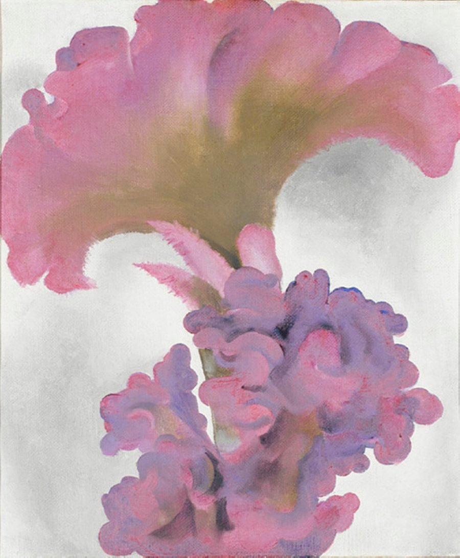Coxcomb 1931 Georgia O‘Keeffe（1887-1986）