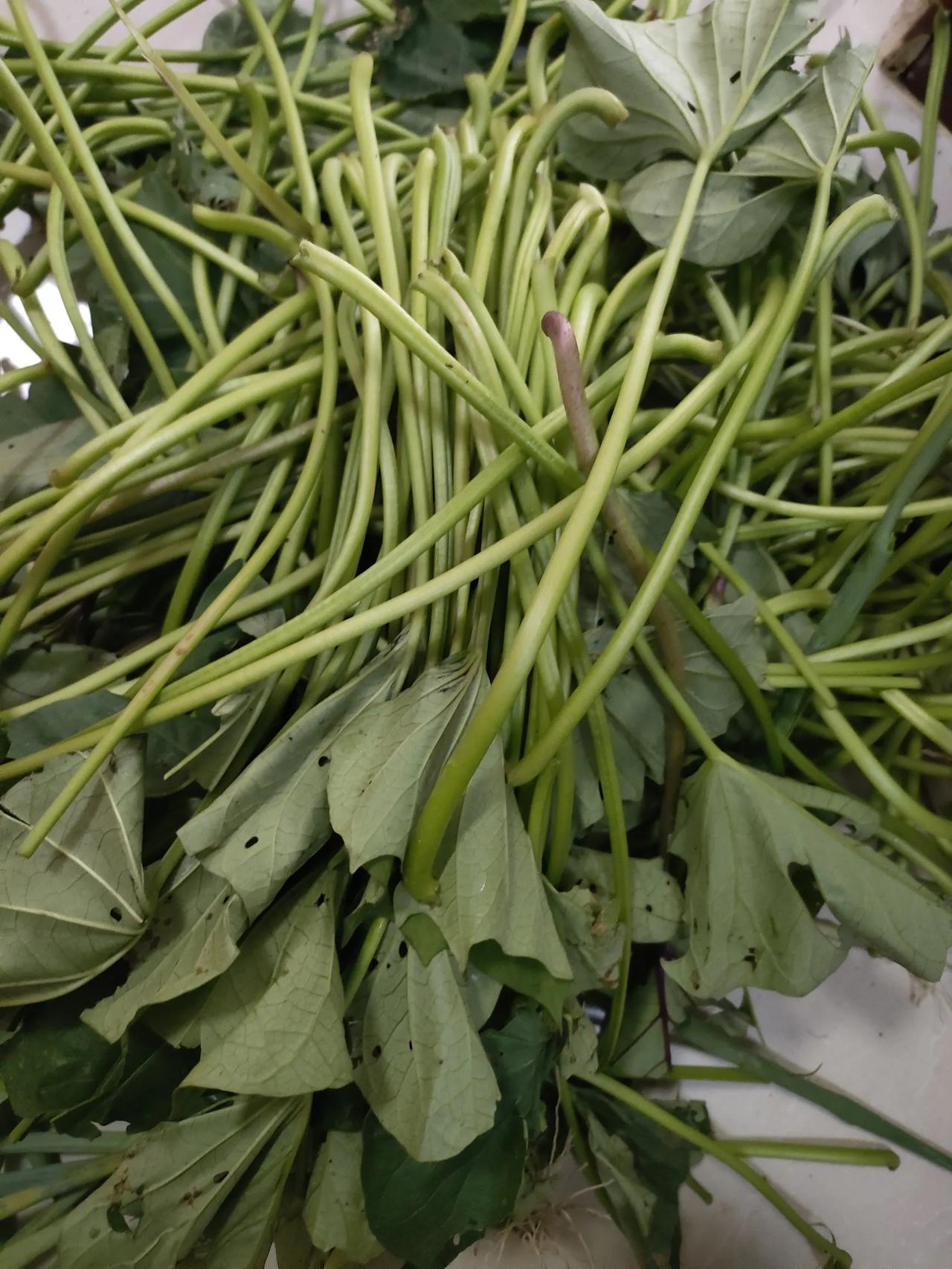 #记录秋日生活点滴#撕了一上午这个