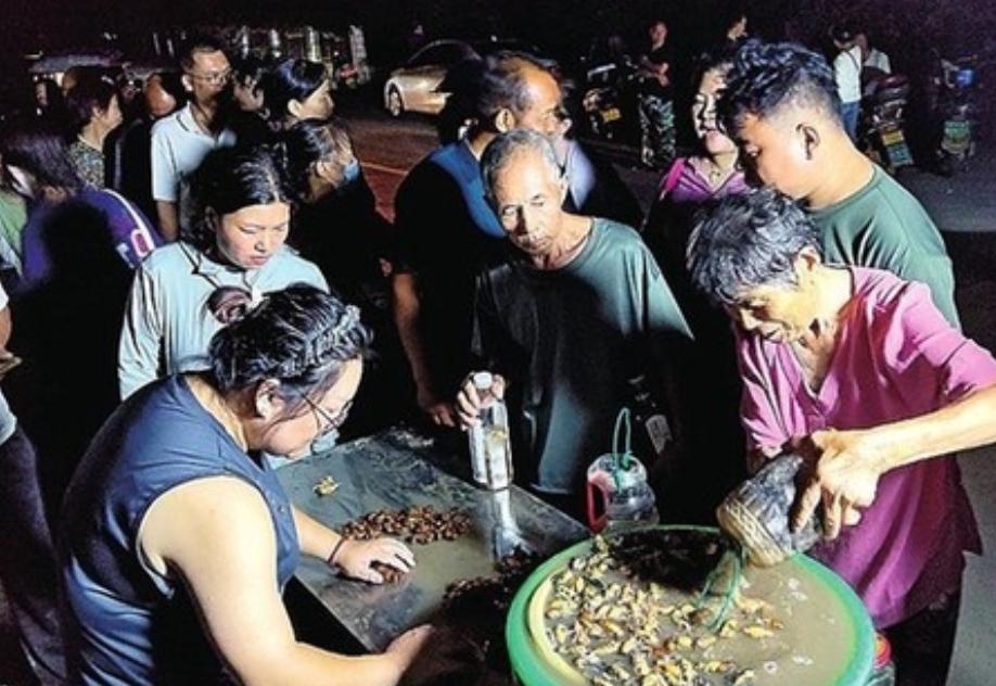 "太能挣钱了!" 郑州一位73岁大爷，一到晚上不遛弯，不睡觉，竟一头扎进树林花3