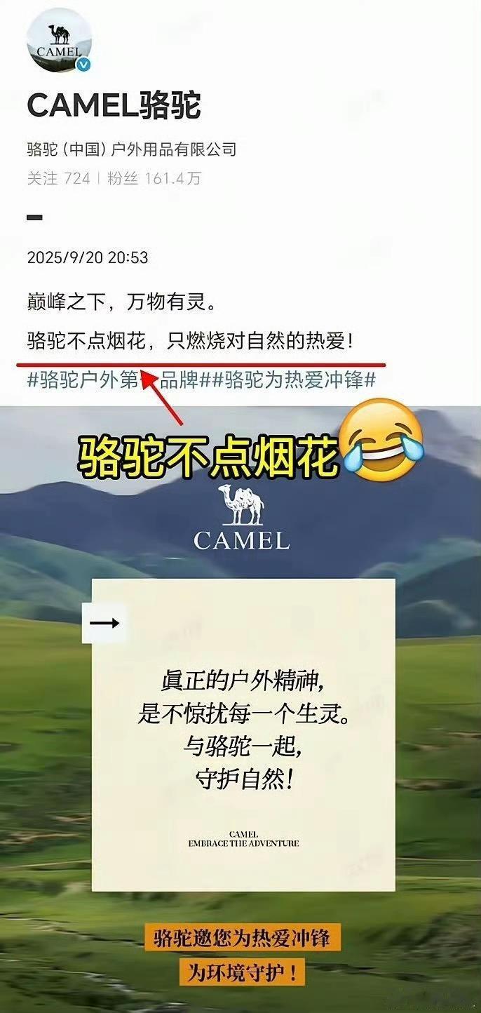 骆驼内心估计在想：鸟兄啊，实在对不住了，反正你这次要凉了，那就借我踩一下来提升点
