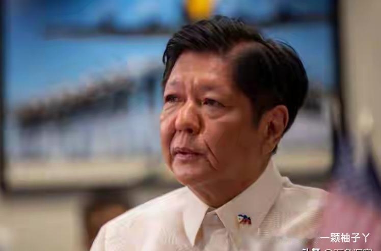 菲律宾2028大选提前预热，政坛画风有点好笑。3月17日权威民调显示，副总统莎拉