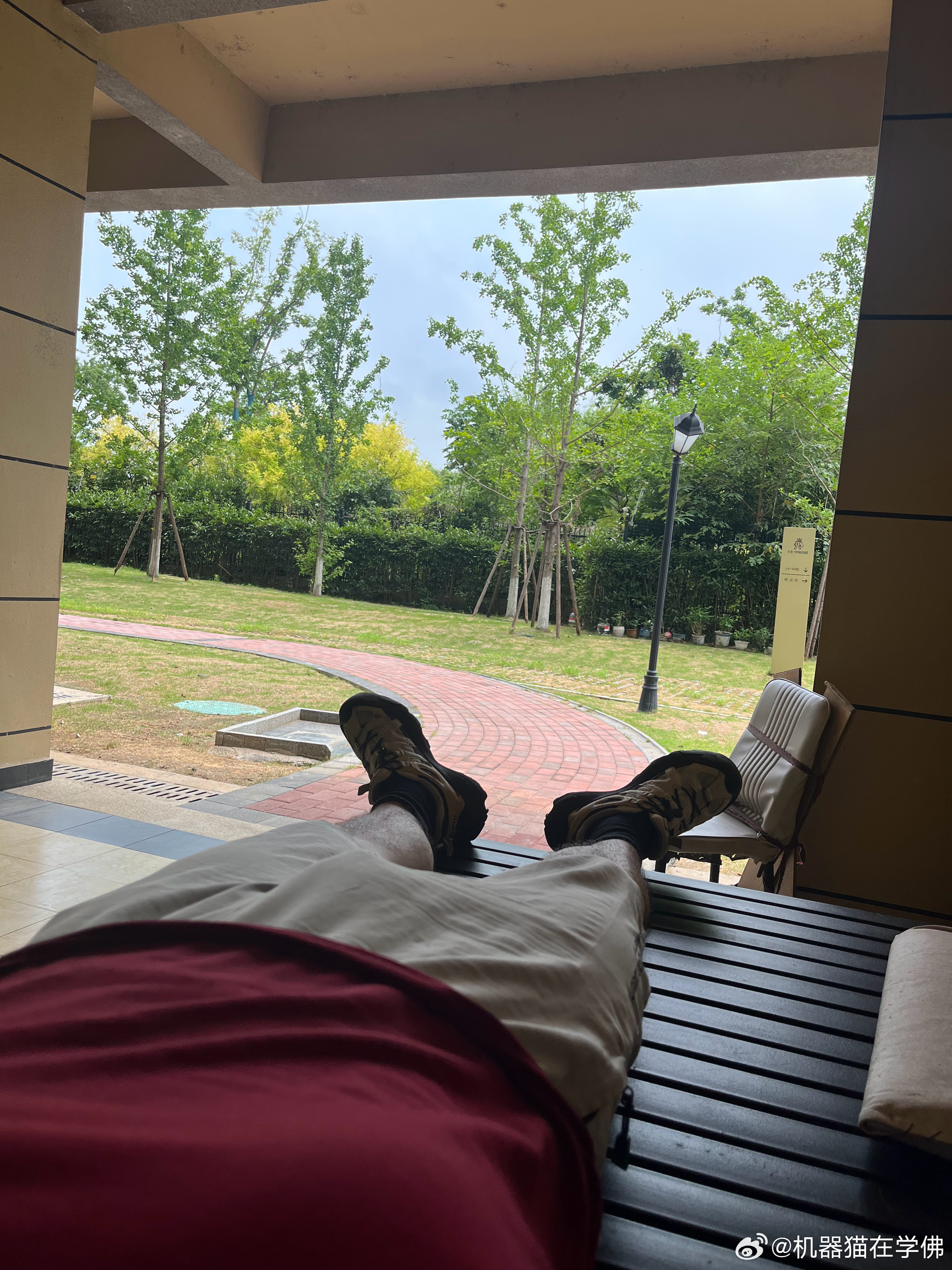 给你们验证过了，躺在老年人活动专区睡觉，没有蚊子咬我……我们这里墙外就是湖水 正