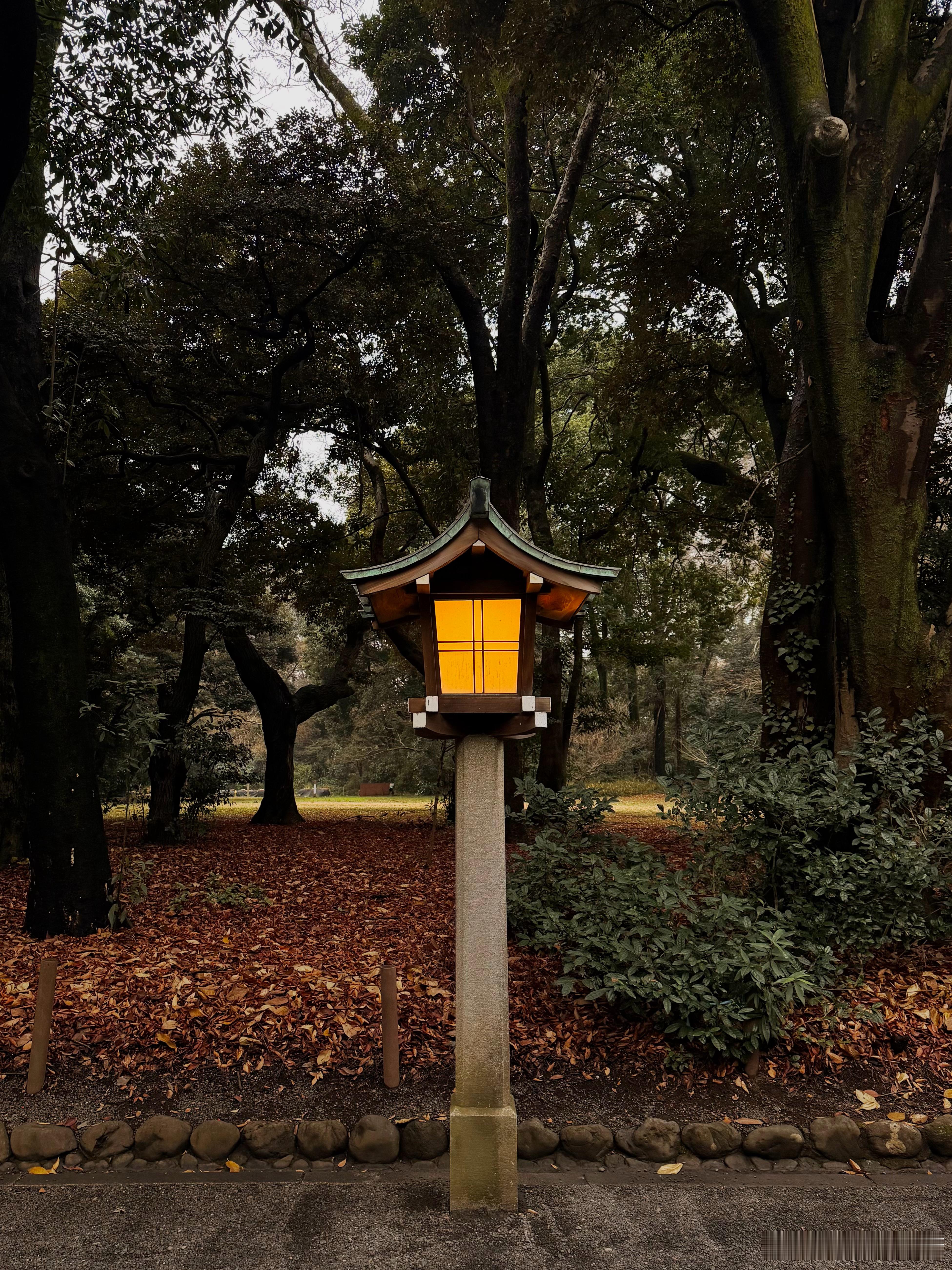 希望2026是沉淀扎根的一年平安 健康 顺利 祝我们好 🍁新年快乐！ Happ