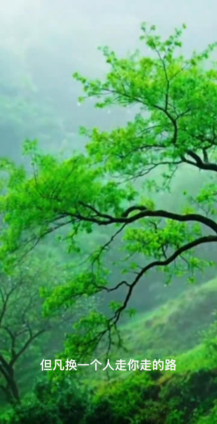 你记住你真的很棒，但凡换一个人走你走的路，他都不一定能安然无恙的站在这里。