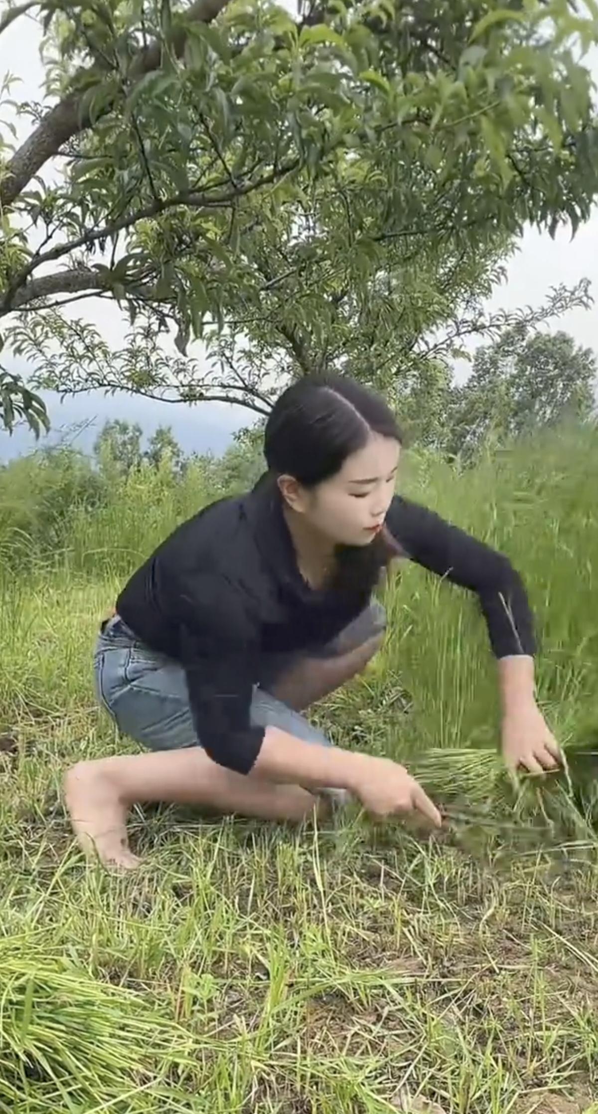 双手割草像机器，
眨眼割完一片地。
天生就是庄稼人，
…………………………
请你
