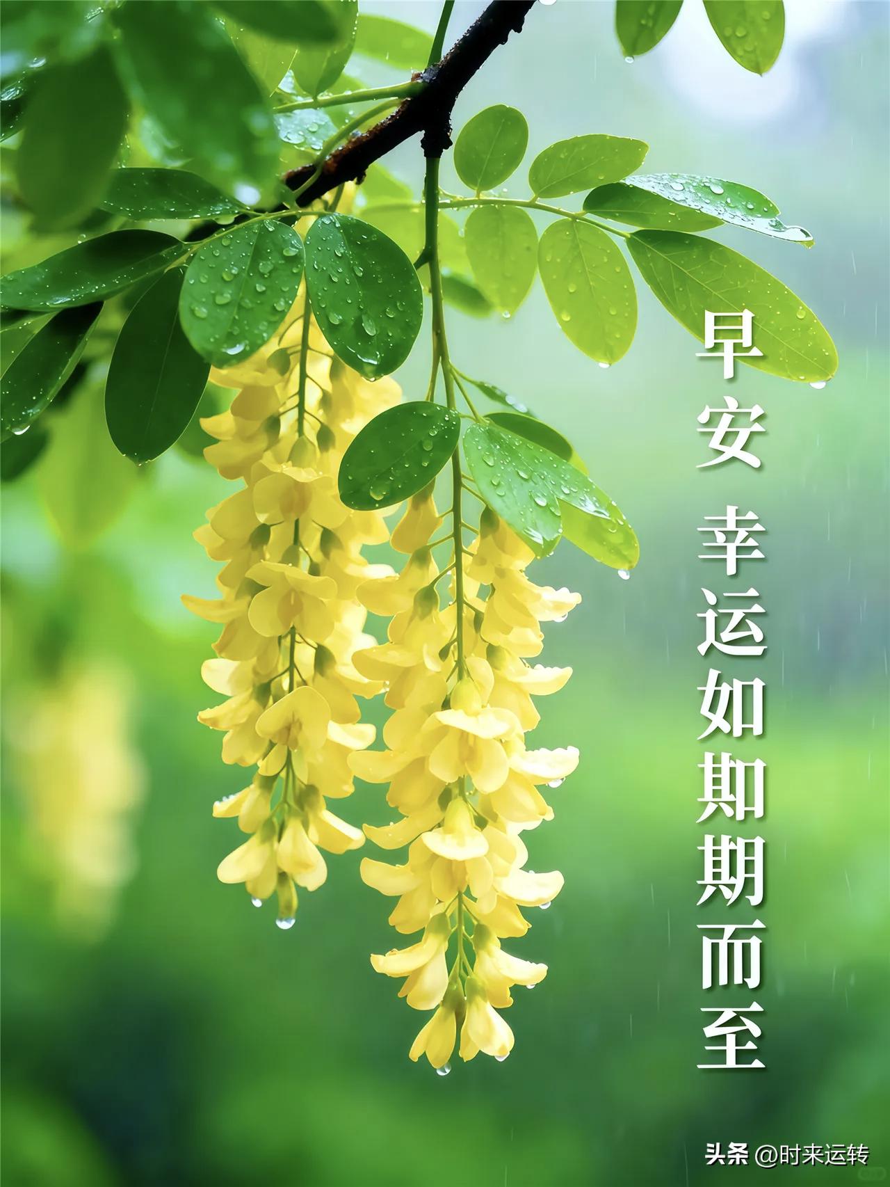 10.9福彩3D今日一起期待一下
组六:159 247 358 479 507