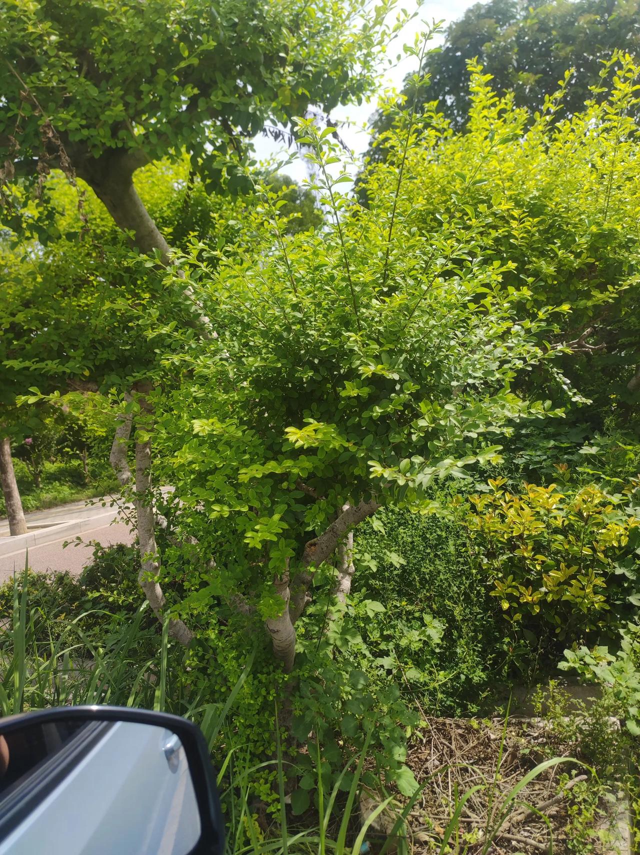 别老回头瞅过去的坑，也别瞎琢磨未来的坎，就攥着当下这口气好好走。今天能走一步就别