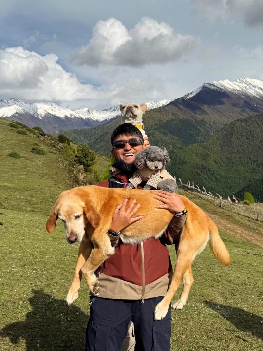 没有一只狗，没有一座山，是不美丽的