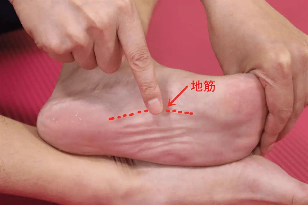 脚上一根筋，经常按一按，还你一个健康肝脏！

肝不好，不如试试脚上这根筋，没事揉