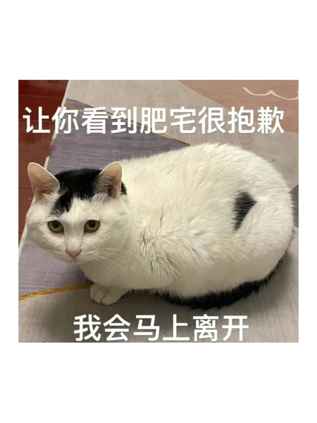 周末愉快！开始疯狂更新