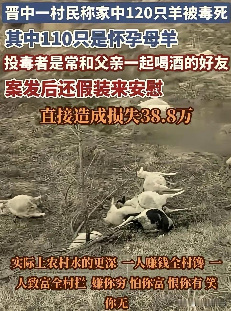 都说城市套路深，你要回农村

农村路更滑，人心更复杂！

嫌你穷，怕你富，恨你有