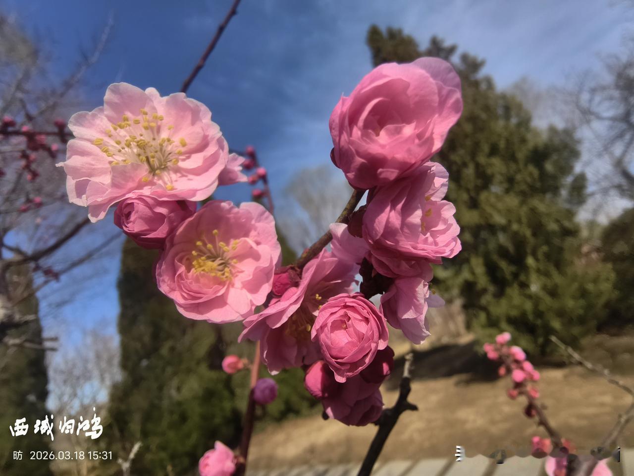 随手拍张图，分享美好瞬间