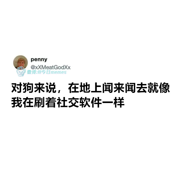 何异味（xXMeatGodXx）今日meme 今日memes