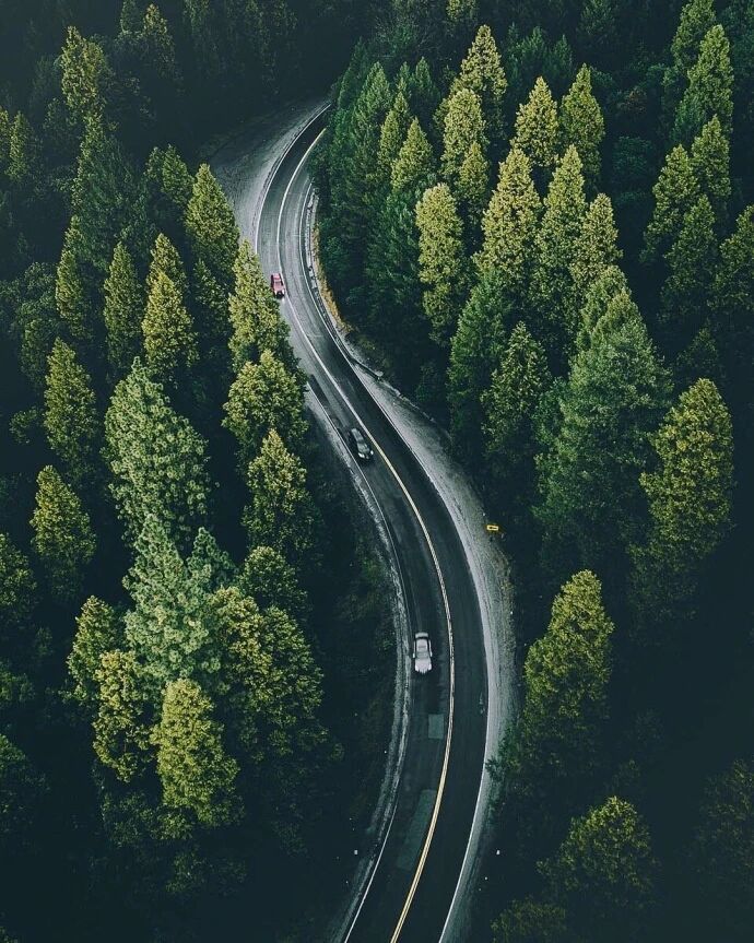 用上帝视角去观察这个世界｜Tobias Hägg ​​​