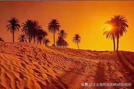 如何看待古代沙特阿拉伯的发展? 古代沙特阿拉伯的发展充满波折。1744 年，伊本