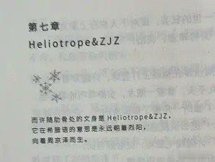 电视剧《告白》开通官微，即将开机剧方还挺有心的，背景是女主的纹身，意思是向着太阳