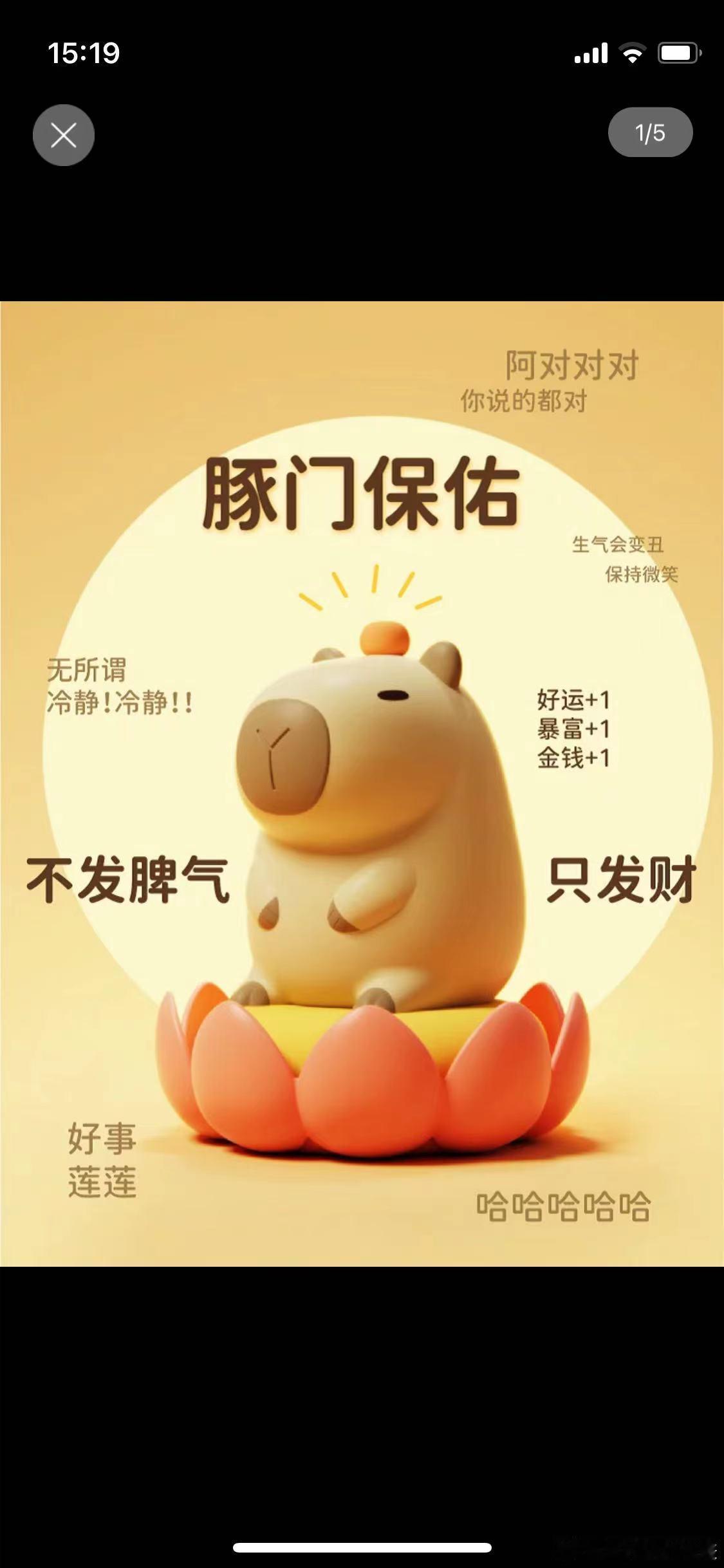 同事群里有人专门这种小动物真的是太！可！爱！了！ ​​​