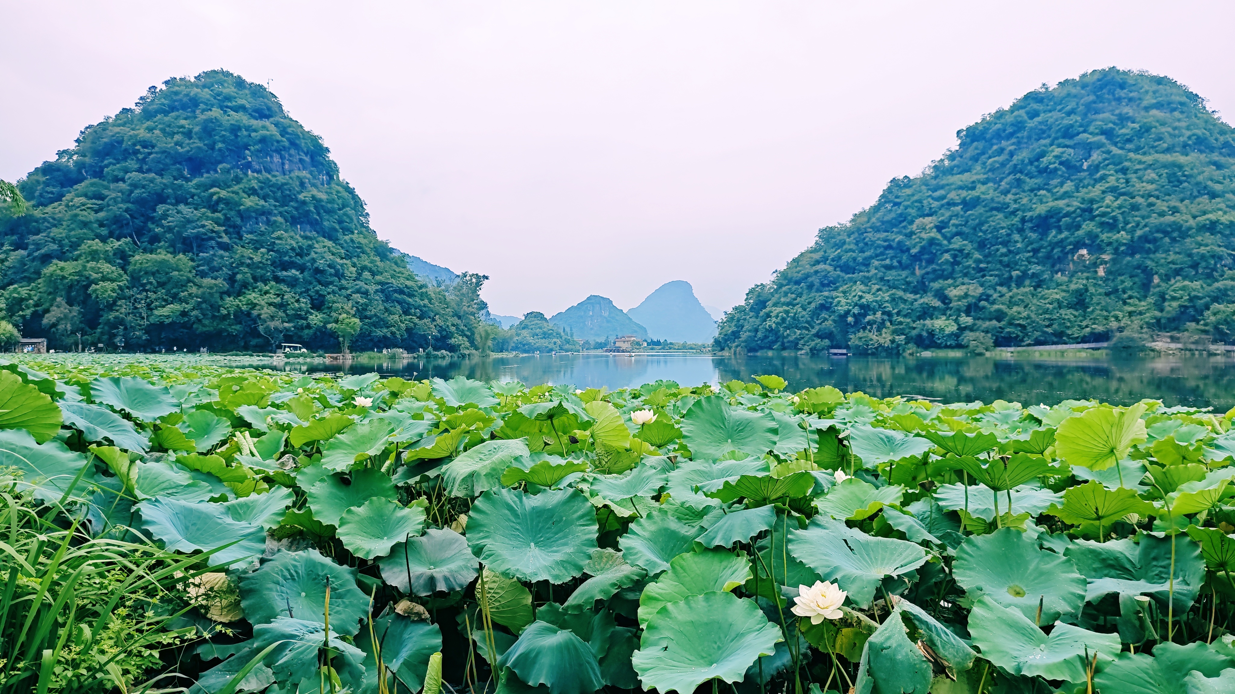 粉丝们先喝[春游家族] ​​​
