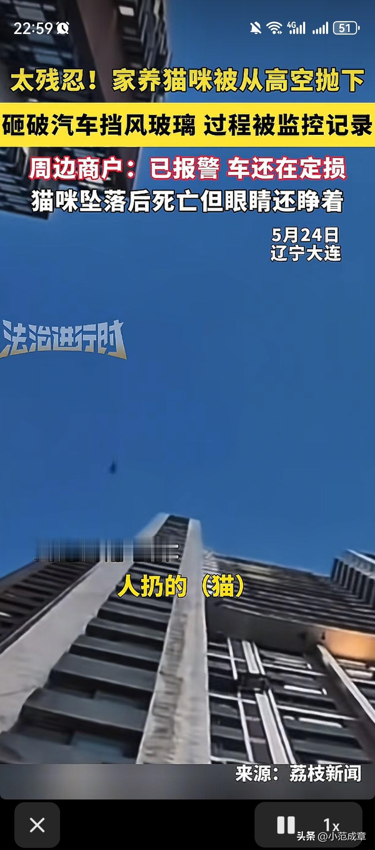 “太残忍了”

5月24号晚上7点33分，金州区金润家园79号楼，一只猫被人从至