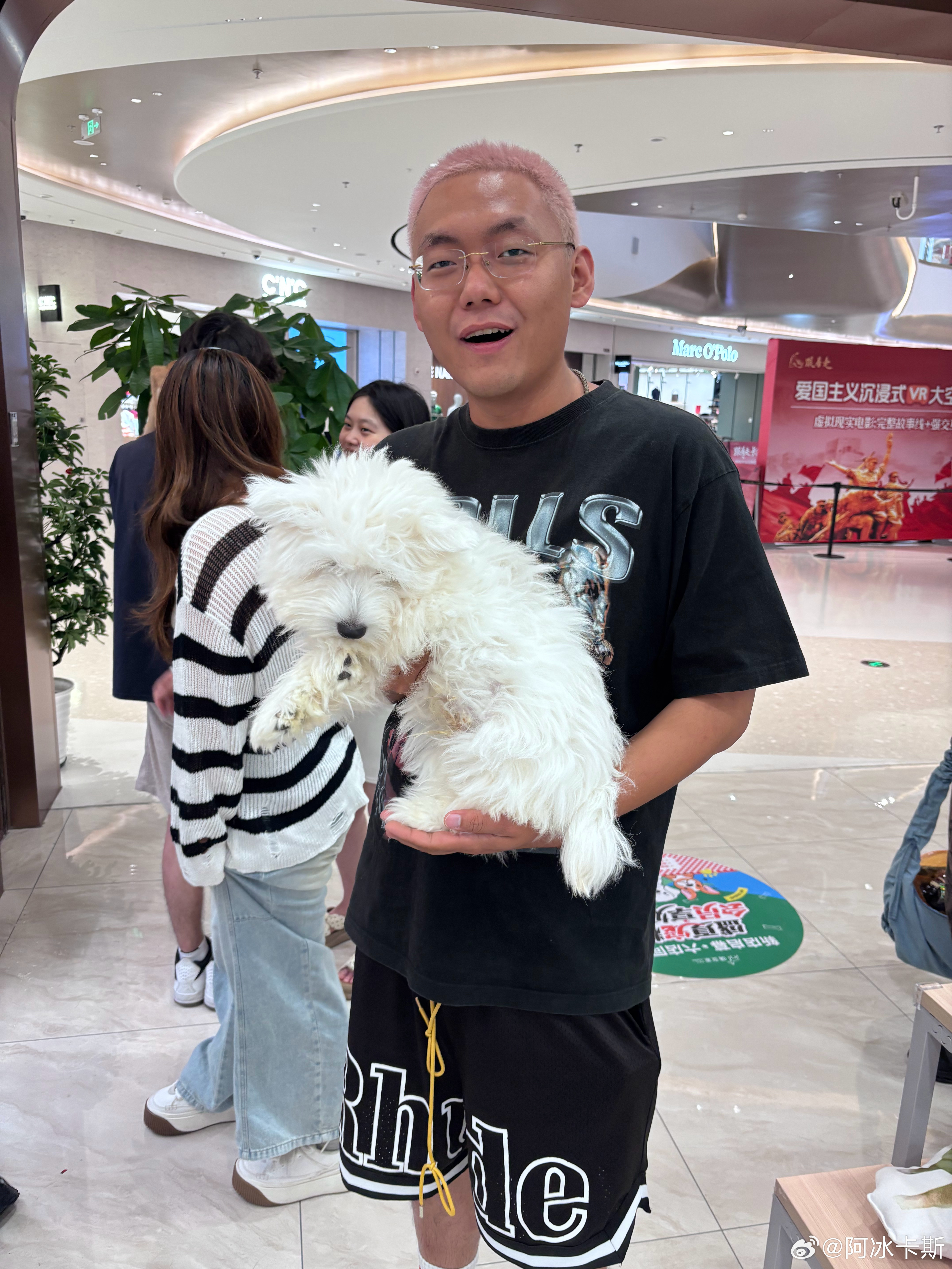 大通州溜达会er吧还真没来过湾里修狗太可爱了😍 北京·湾里·王府井WellTo