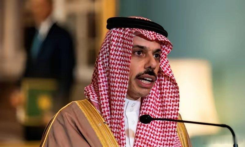 巴阿冲突升级，巴基斯坦第一时间求助沙特而非中国，背后藏四层关键逻辑2月27日巴阿