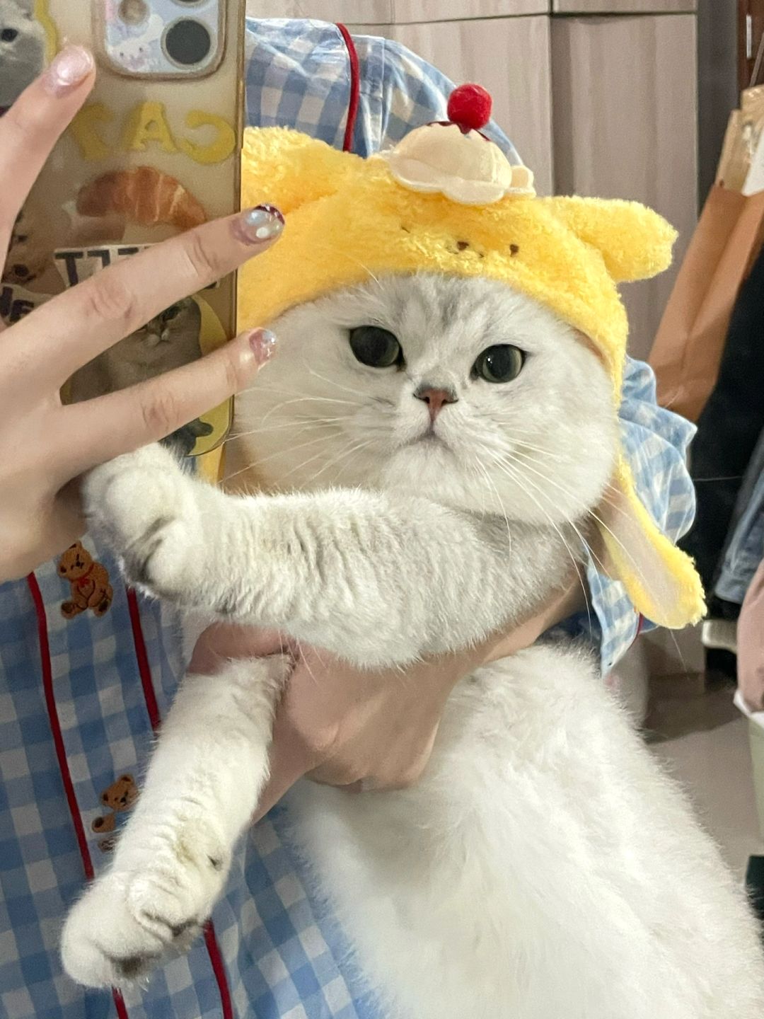ee们看我可爱吗