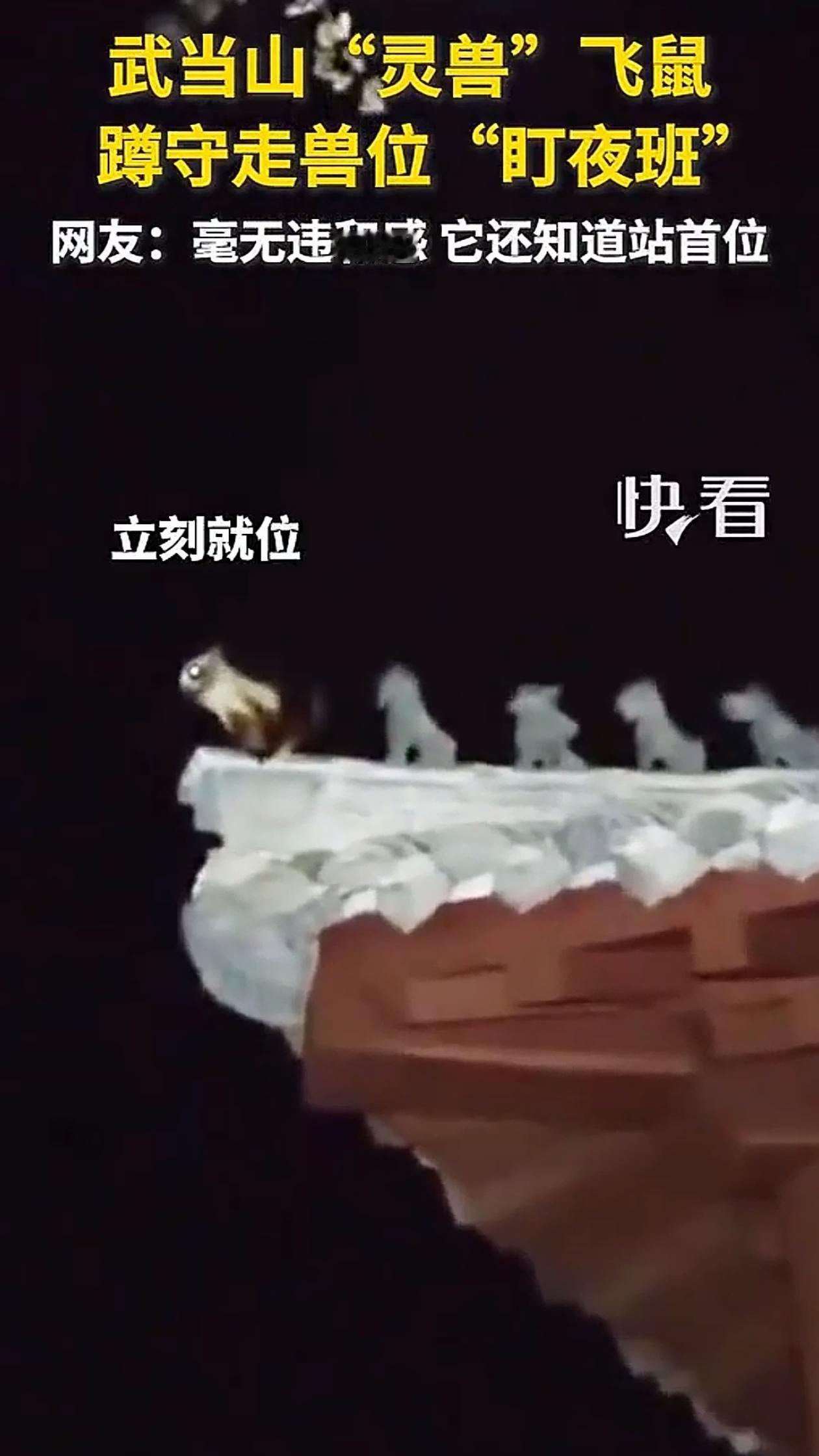 “太有灵性了！”湖北武当山，游客晚上游玩，发现古建筑房檐上跑来一只飞鼠，更神奇的