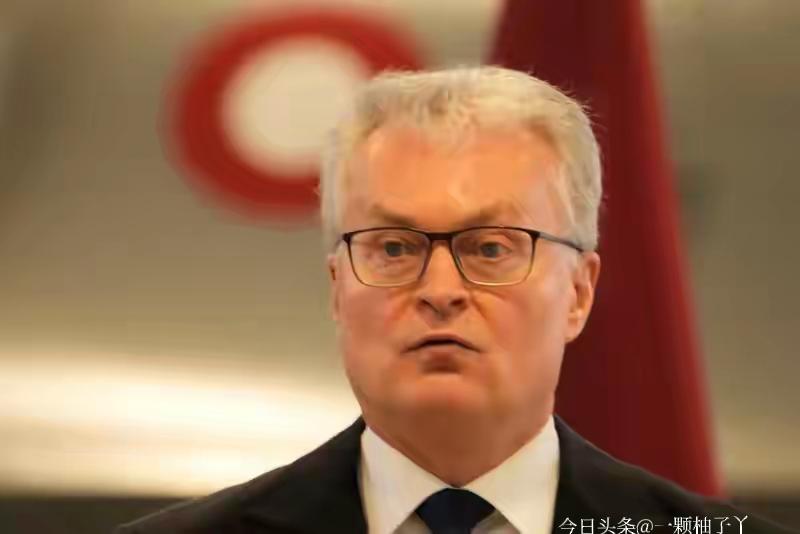 立陶宛总理刚承认当年涉台做法是战略错误，想缓和对华关系，总统瑙塞达立马出来“硬气