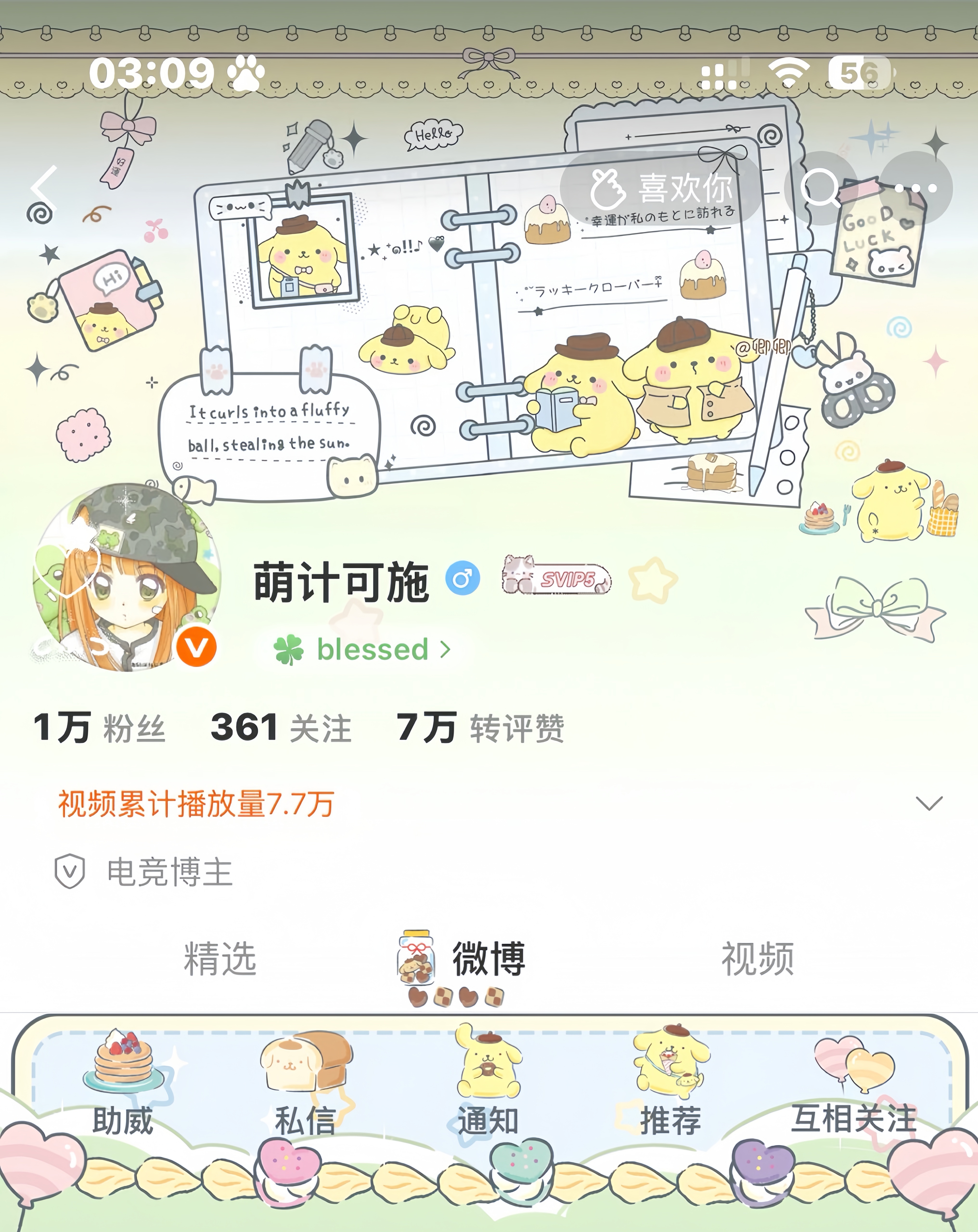 ⊹ ꔫ ⊹ 布丁狗普 ⊹ ꔫ ⊹  专栏 · 咔嚓留念