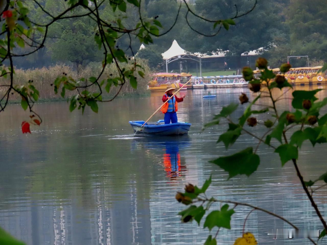 悠闲的湖上划船，感受大自然的宁静与美好。🌿🚣‍♀️