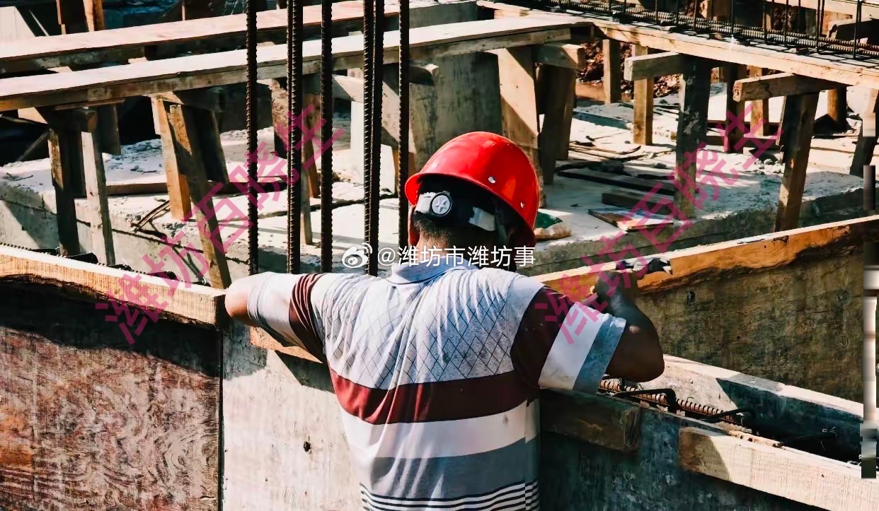 建议允许60岁以上农民工继续务工想想真的挺心酸的，农民工年轻时扛着最累的活，砌高