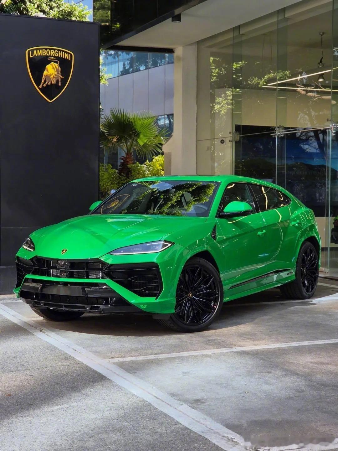 年少时不懂URUS，现在见到我就狂亲