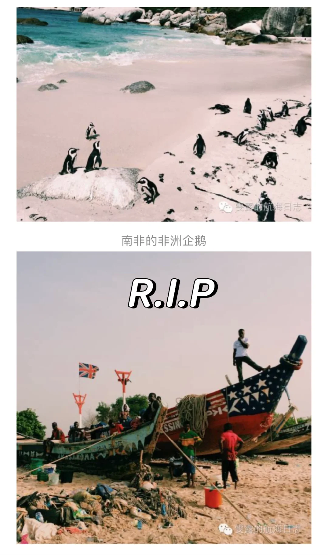 经历职场pua和产后抑郁，我明白活着就是胜利