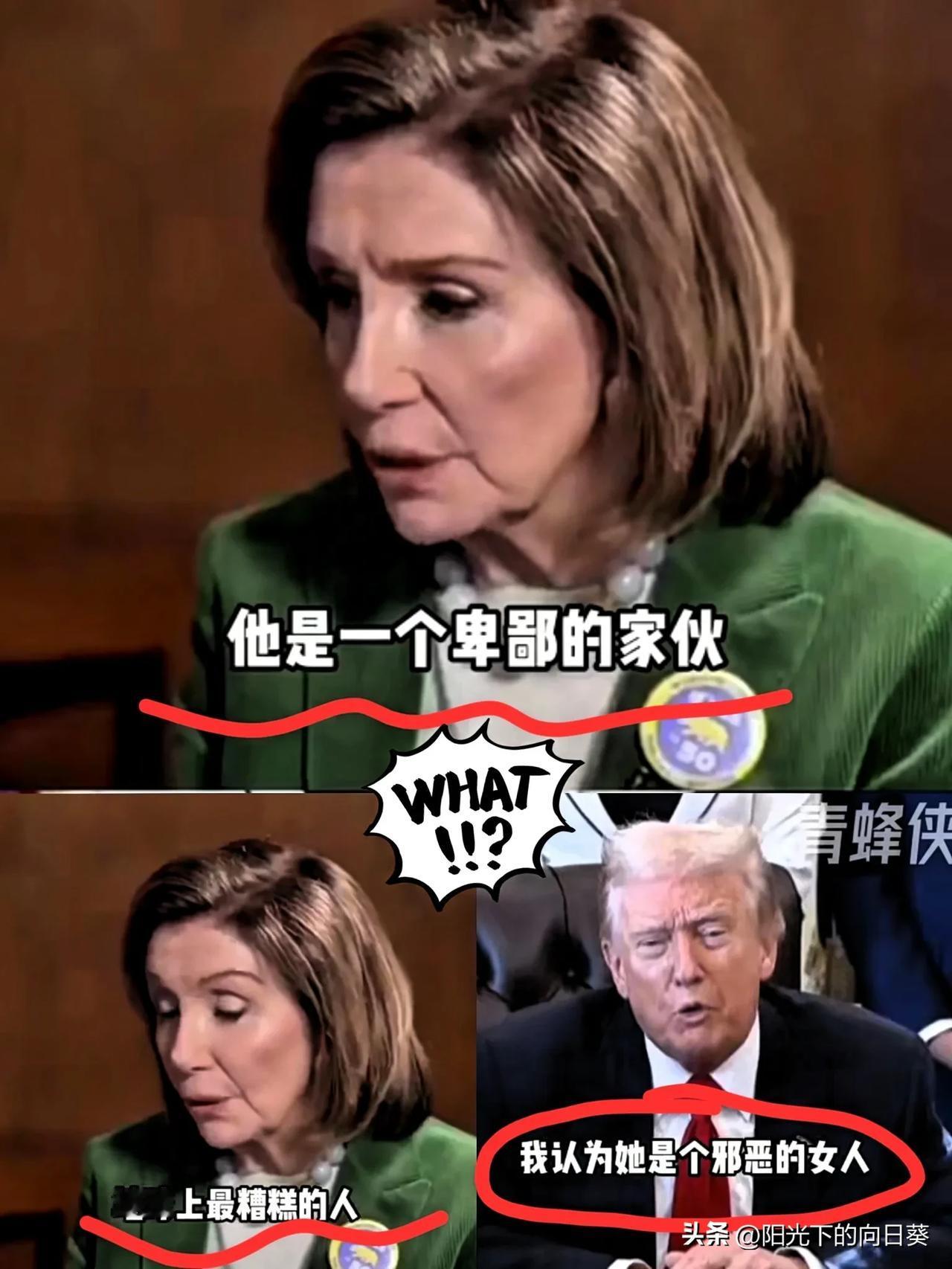 快讯！

快讯！

特朗普佩洛西再掀“隔空骂战”

85岁佩洛西宣布退出国会，与