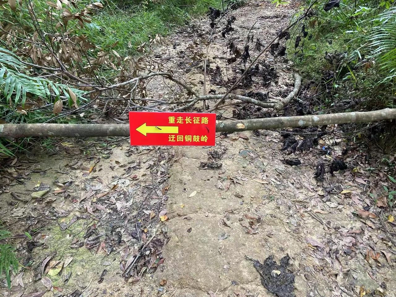 学校的秋季研学又开始了，夏季研学花了小一万，去北京，秋季研学重走长征路，体验一下