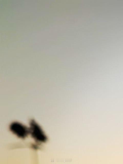 不谈亏欠，不负相遇。 