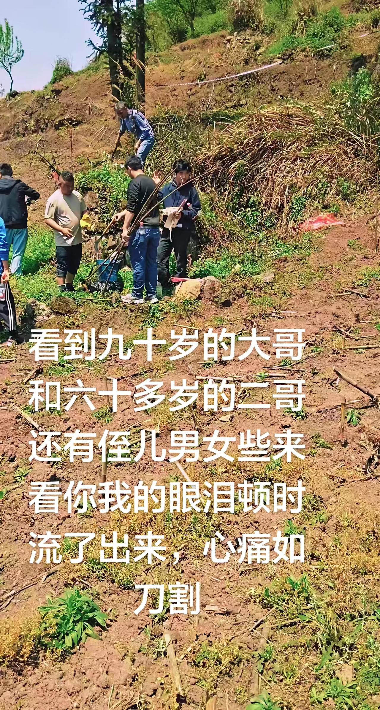 心里痛和苦没人能懂