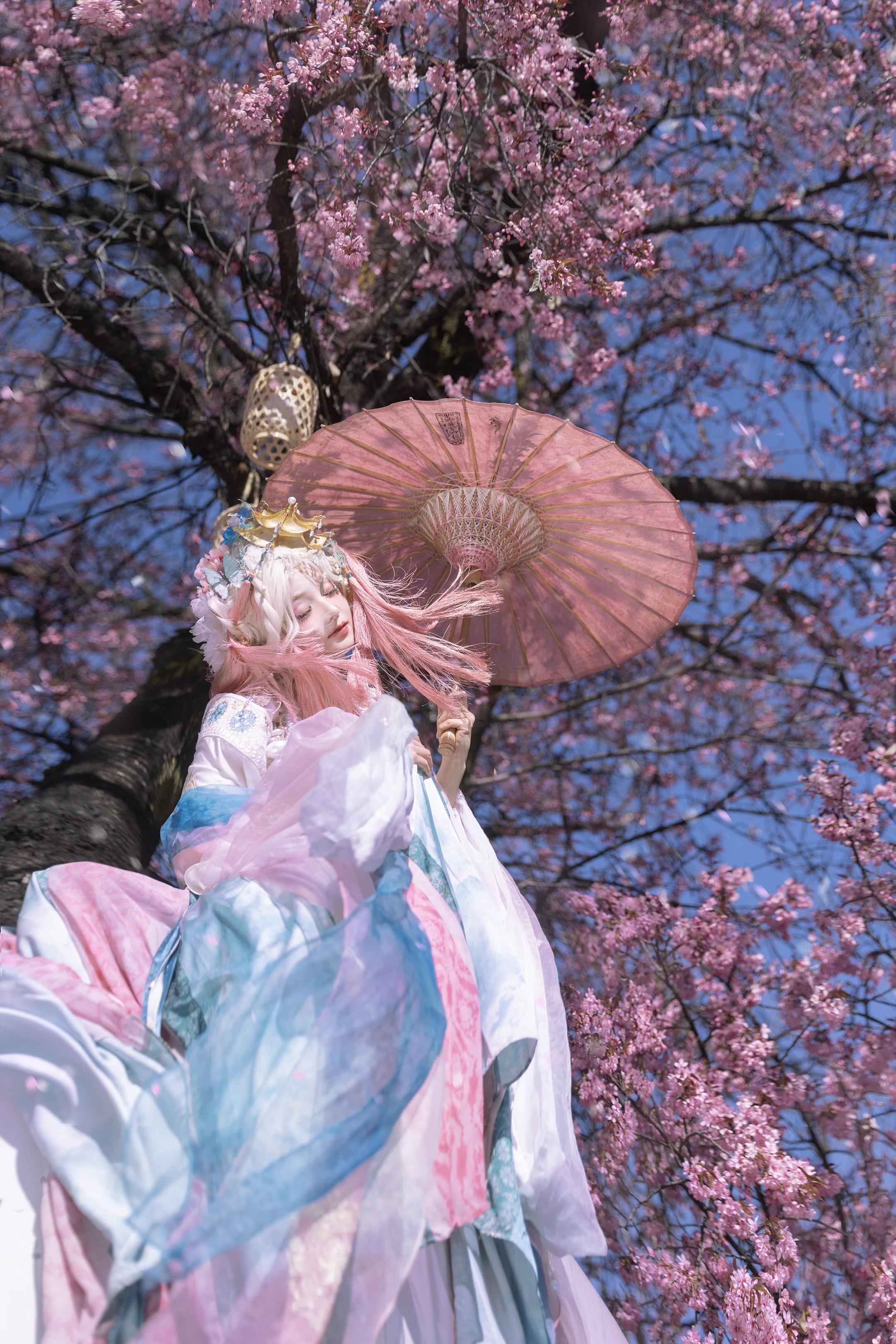 ‘ 扶墙花影动 ’拍到了大理的浪漫樱花～