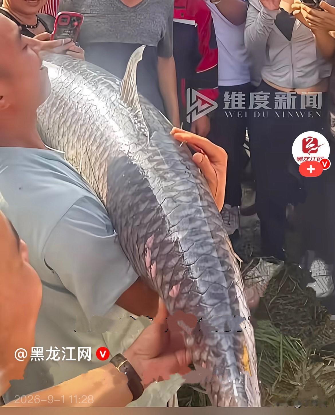 近日，贵州遵义一处湖边，一大爷钓鱼直接中了水下巨物，鱼一上钩就知道是条大鱼，于是