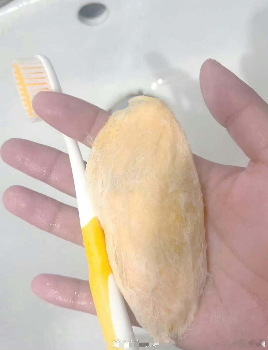 年轻人养的东西越来越离谱了如今年轻人养的东西确实越来越离谱，从传统的猫狗到蜥蜴、