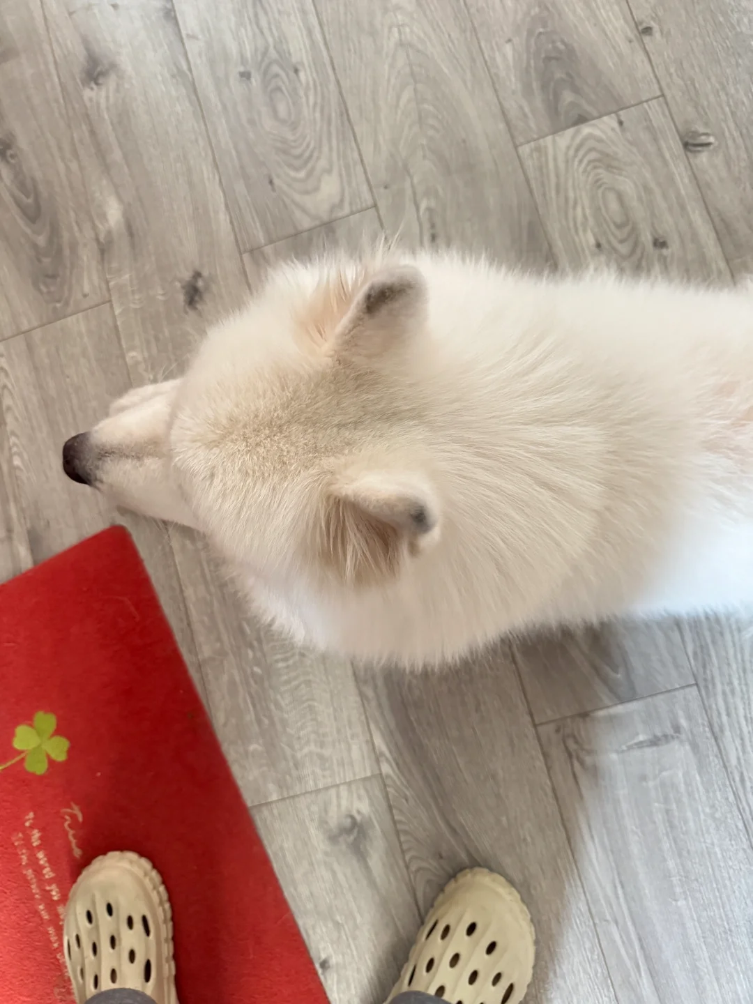 耶师傅去挖煤了？