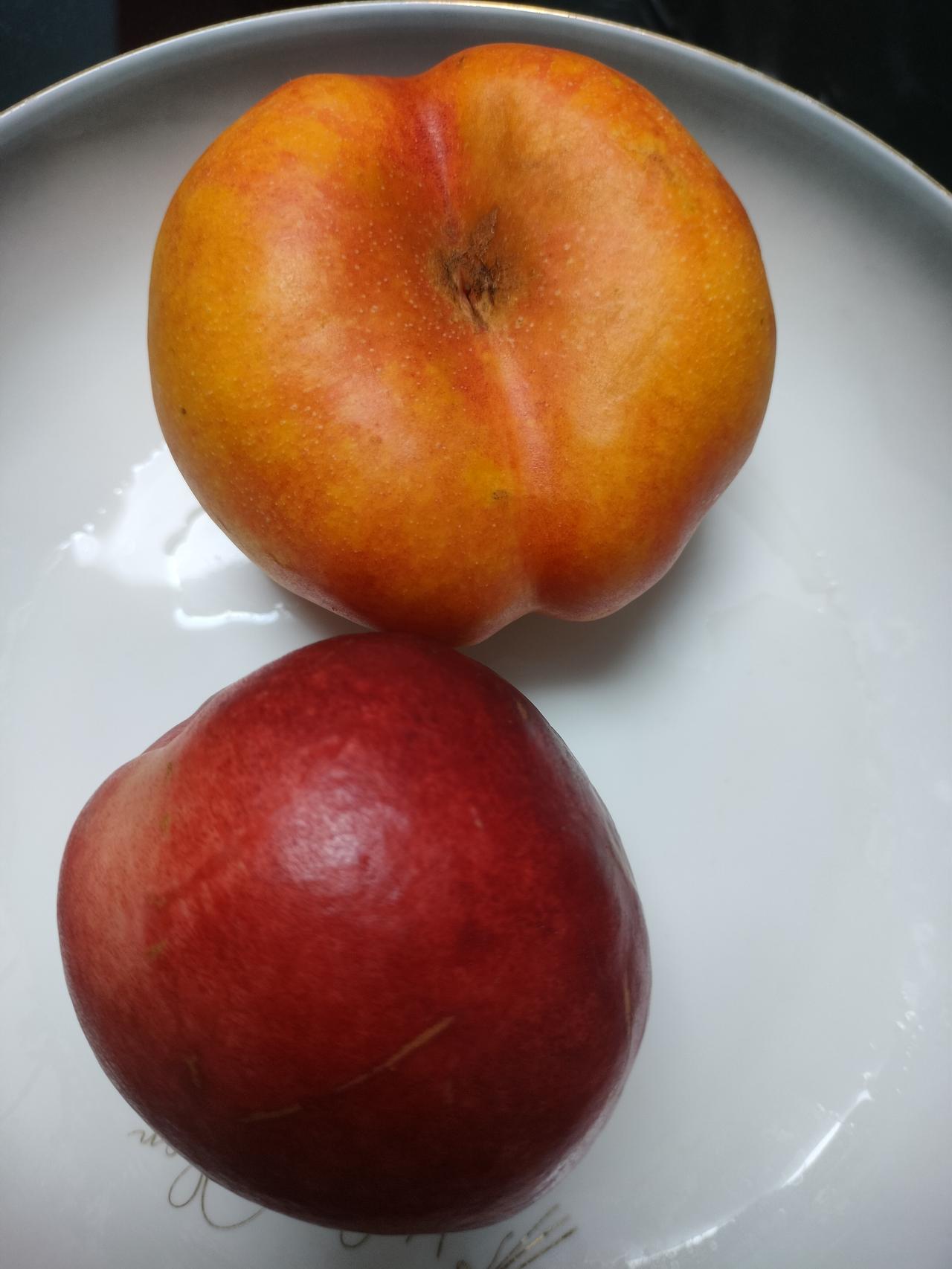 夏天是水果丰收的季节，也是新鲜水果最多的季节。
2026年的夏季也不例外，而且还