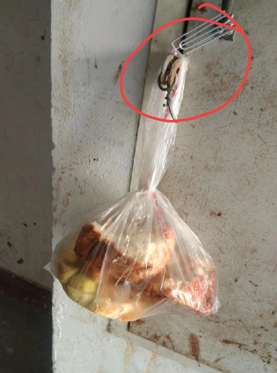 谁能想到，一楼电表箱的挂钩，藏着整栋楼最暖心的默契！下午把吃不完的饼挂上去时，我