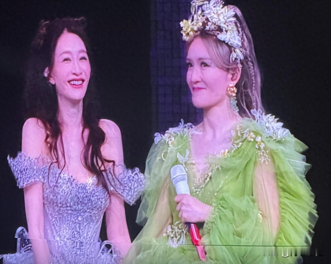 谢娜演唱会结束仅 24 小时，难堪一幕再发生，照清了内娱的人情冷暖

谢娜 20