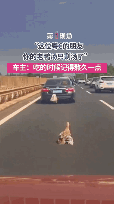 这也太逗了吧！这视频都火到新华社了！
         近日在广西，一位车主回家