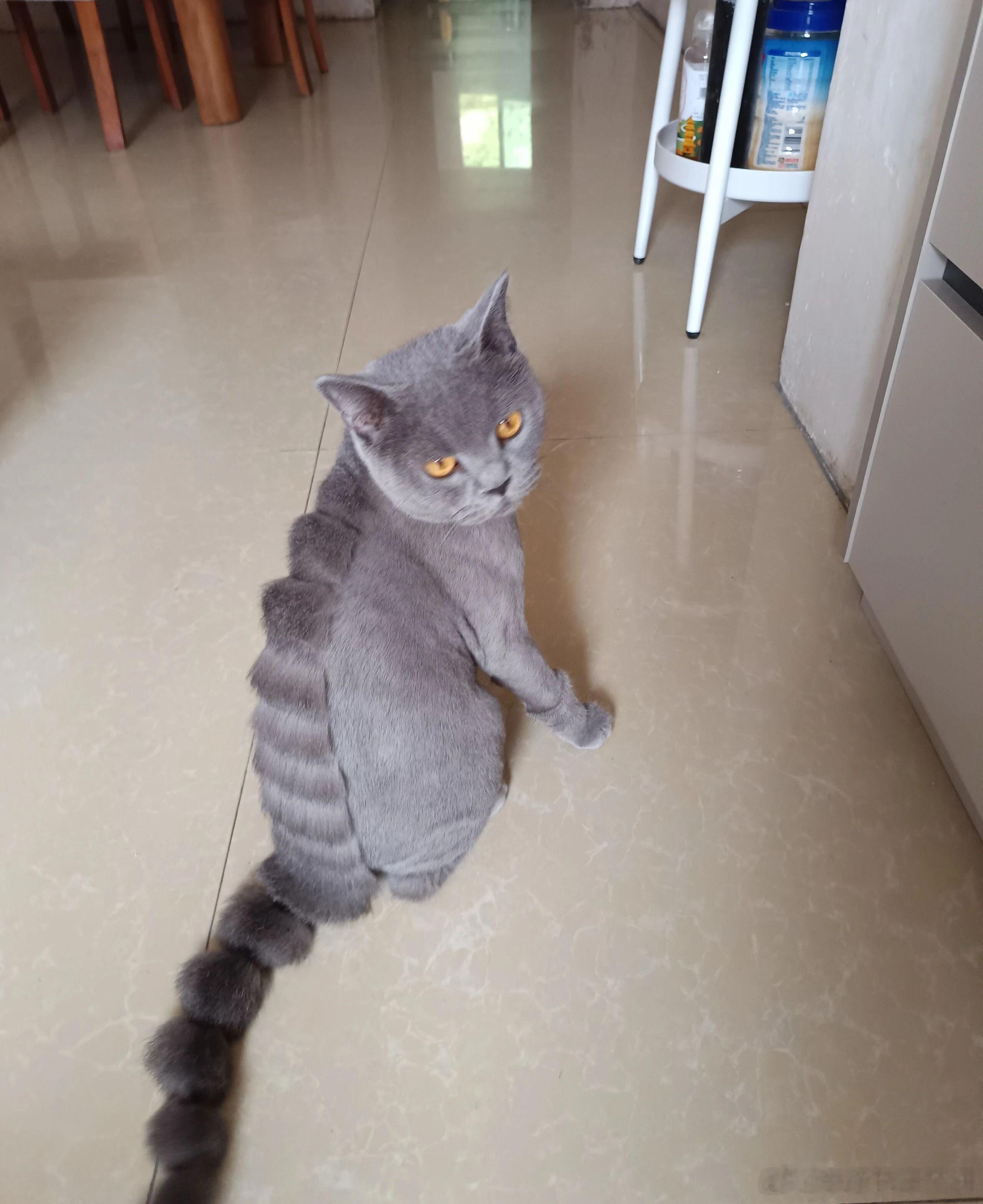 生活手记物种起源 
