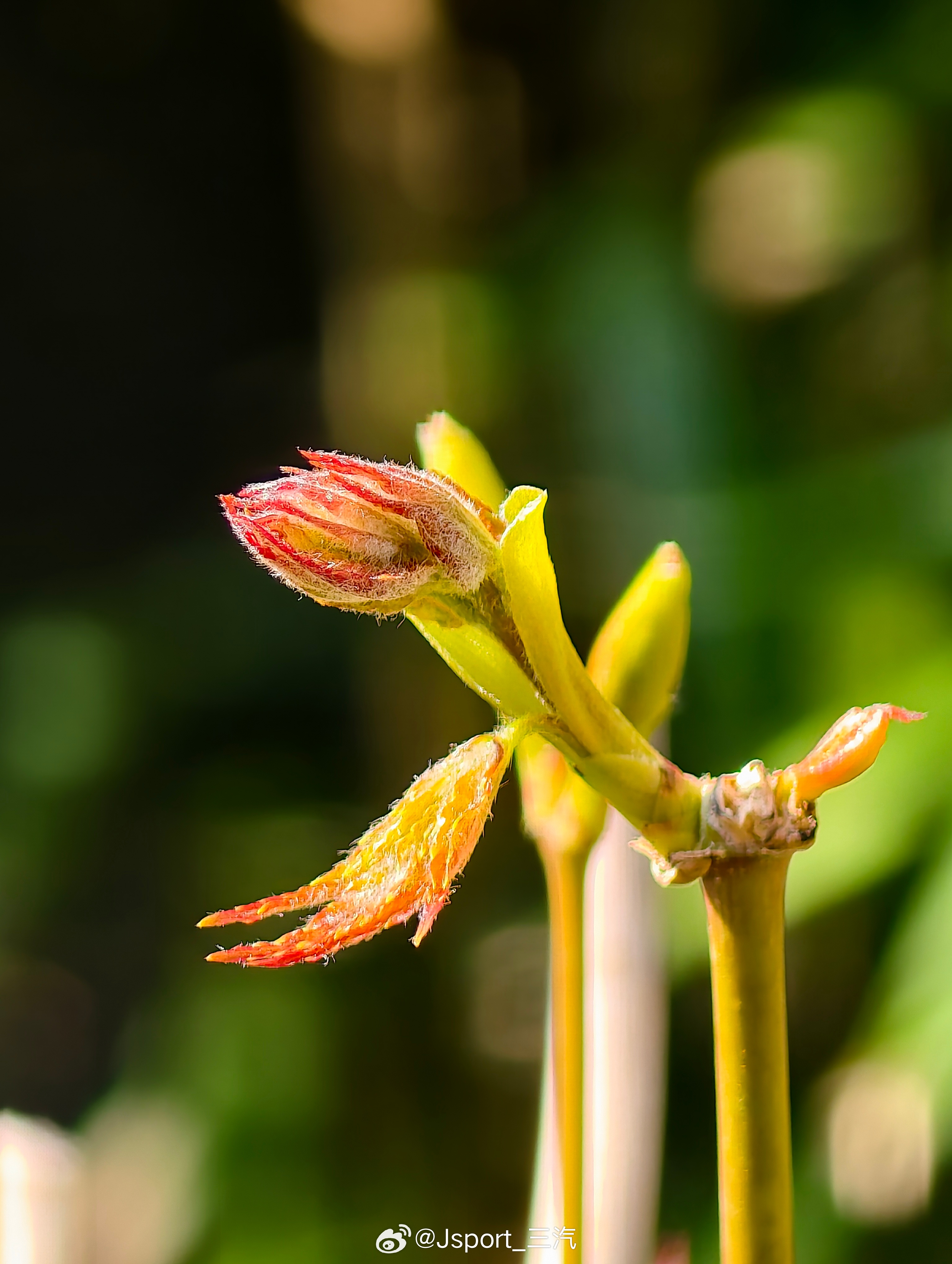 长三角每个蓝天都配得上水一篇博 