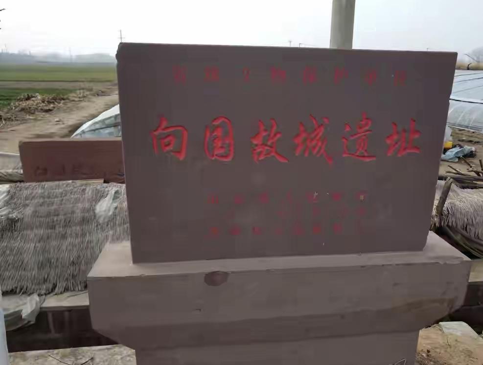向国故城（莒南县大店镇）出土文物梳理
 
向国故城遗址位于临沂市莒南县大店镇，是